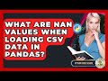 What Are NaN Values When Loading CSV Data In Pandas? - Python Code School