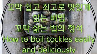 꼬막 쉽고 최고로 맛있게 삶는 법 ☆꼬막 삶는 법의 정석☆ How to boil cockles easily and deliciously