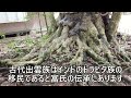 【サイノカミ信仰】アラハバキ神・斎の木に藁の竜神（蛇神）を巻き付けて拝む！