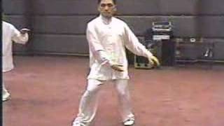 Tai Chi 37-Style - Barry Lin