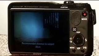 Snap Judgment: Sony Cybershot DSC HX20V and Olympus OM DE M5