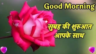 Good Morning Shayari Video | Shayari | Subah Ki Shuruate Apke sath ho