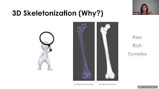 Segmentation vs Skeletonization