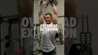 Dumbbell Hammer Curl & Overhead Extension (Arm Workout)