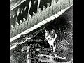 日本猫を追って～断章作品８９番