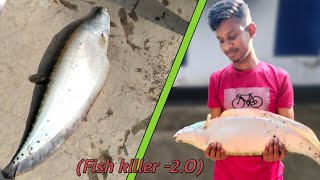 বাওরের  বড় চিতল মাছ।।। কাটার Video 😀😀😀😀