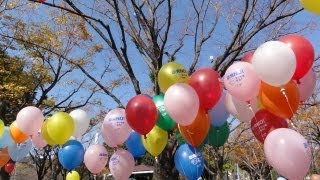 原発いらない！3.10宮崎いのちの広場・ステージイベント（UST版）３