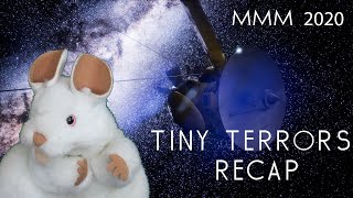 Rodent Recap - MMM 2020 - Tiny Terrors - Round 1!