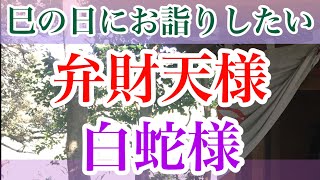 巳の日に遠隔参拝☆弁財天様と白蛇様をお祀りするパワースポット！【多鯰ヶ池弁天宮】開運動画　※金運　恋愛運　健康運　諸運隆盛