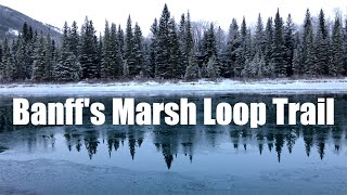 Best Hike - Banff's Marsh Loop Trail in Winter
