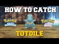 HOW TO CATCH TOTODILE IN POKEMON BRILLIANT DIAMOND AND SHINING PEARL!