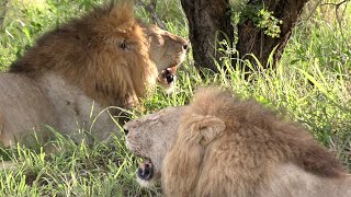 Skorro Boys Looking Dangerously good with Their Mayanbula Pride on a Kill Ep134