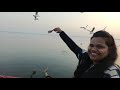 भिगवण पक्षी अभयारण्य bhigwan bird sanctuary heaven of birds bird watching in maharashtra 4k