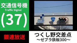 【交通信号機(37)】（更新済み）つくし野交差点のゼブラ付鉄板300mm