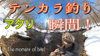 テンカラ釣り　アタリの瞬間20連発　テンカラのアタリを解説　How I get bite