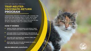Trap-Neuter-Vaccinate-Return (TNVR) Program