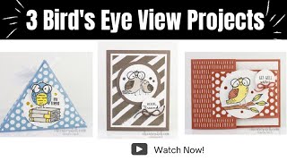 Three Birds Eye View Projects