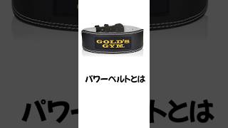 ちょっといい体目指しましょ〜パワーベルト解説〜