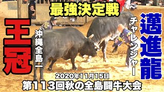 【重量級タイトルマッチ】王冠VS邁進龍  2020年11月15日第113回秋の全島闘牛大会