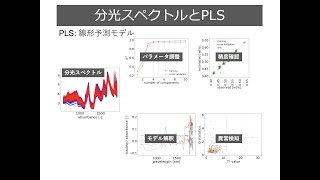 【Python】Google CoLabでPLS入門 概要説明