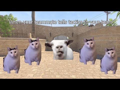 Cs2 Everyday Youtube