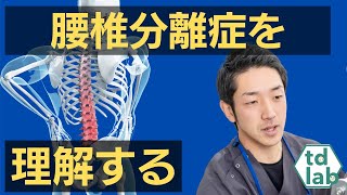 【すべての治療家、セラピスト必見！】腰椎分離症を理解する