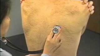 respiratory examination.wmv