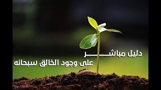 دليل مباشر على وجود الخالق سبحانه A direct proof concerning existence of God (English subtitle)