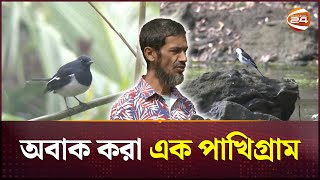 অবাক করা এক পাখিগ্রাম, যাদের আগলে রাখেন একজন 'পাখিবন্ধু'! | Village of Birds | Coxbazar | Channel 24