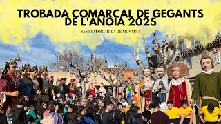 Trobada comarcal de gegants de l'Anoia a Santa Margarida de Montbui (18/01/2025)