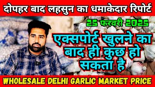 Wholesale Delhi Garlic Market Price | आजादपुर मंडी से लहसुन का भाव | मध्य प्रदेश लहसुन के होलसेल भाव