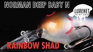 Norman Deep Baby N Rainbow Shad - Lurenet Paint Shop (Custom Painted Lures)