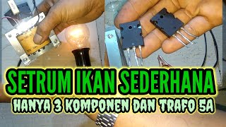 Skema Rangkaian Strum Ikan