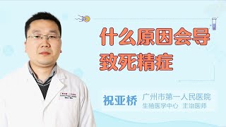 什么原因会导致死精症 .  【不孕不育】【女性不孕】 【男性不育】  【生殖疾病】