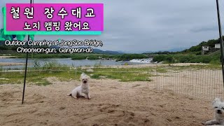 [SUB] K-style camping Chabak alone with puppies/ Gangwon-do, Korea/ Outdoor Summer camping