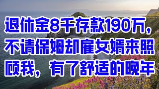 退休金8千存款190万，不请保姆却雇女婿来照顾我，有了舒适的晚年 - 情感故事 2023