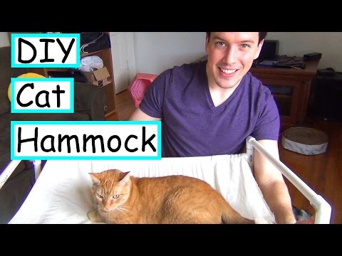 DIY Cat Hammock | No Sew | EASY + CHEAP DIY Cat Hammock | No Sew | EASY + CHEAP