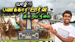 🔴 யாழில் கொடி கட்டி பறந்த பணக்கார கிராமம் 😮 | Karainagar Village Tour | Jaffna Thanush