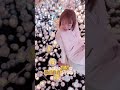 東京 teamlab borderless 詳細完整版攻略 日本旅行 東京 東京旅行 展覽 日本旅行攻略 japantravel tokyo tokyotravel