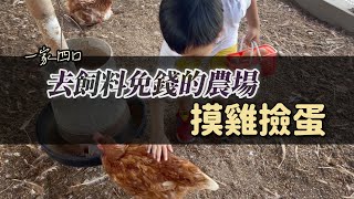 正實農場 | 中部最佛心的農場！飼料竟然不用錢，還有戲水池、溜滑梯、充氣城堡可以玩整天🌞，去雞舍撿雞蛋🥚 | 推薦親子景點