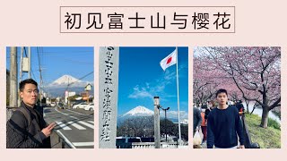 终于在日本看到富士山和樱花啦 Mount Fuji and cherry blossoms in Japan | 富士宫与河津町 | 旅居日本 Life in Japan EP 3