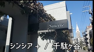 ランチ営業は土曜日のみ、ミシュラン店の前菜を着席ビュッフェでいただける人気のランチ【シンシア+】