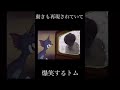 動きも再現されていて爆笑するトム shorts meme