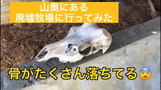 豊田の山奥にある廃墟牧場に行ってみた！