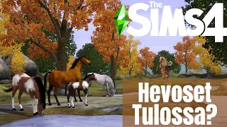 The Sims 4 vihjailee HEVOSISTA?!