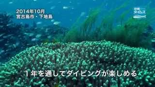 宮古島市下地島　海底洞窟に潜る