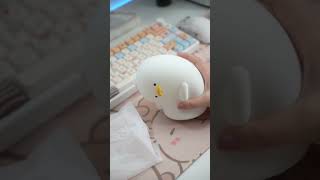 unboxing the cutest lights!!!✨👉 | Cool Duck, Why Duck ? 🦆