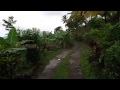 cheap land in dominica for sale 3.5 acres