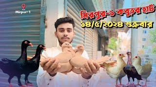 মিরপুর-১ কবুতর হাট ১৪/৫/২০২৪ শুক্রবার | কবুতর হাট ২০২৪ | Pigeon market 2024 | Mirpur-1 kobutor hat