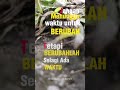 Selagi punya waktu berubahlah ke arah kebaikan.. kerana ruang waktu yang hadir mgkn hanya hdir skali